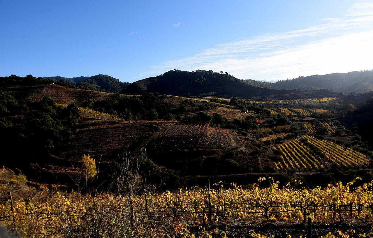 Hotel Balco Del Priorat La Morera de Montsant Kültér fotó