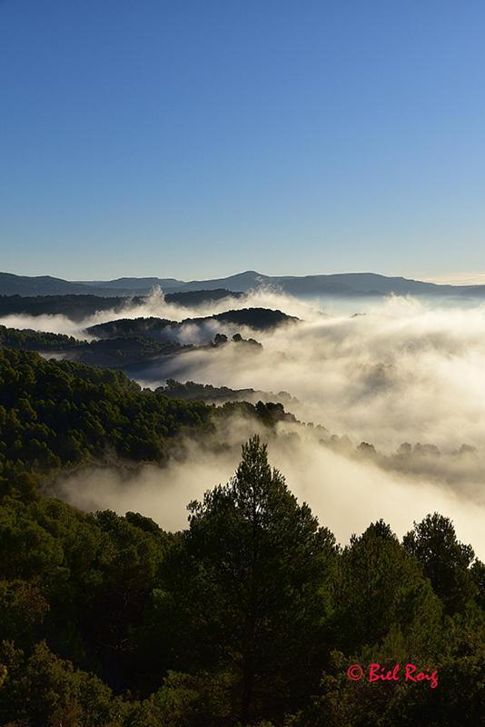 Hotel Balco Del Priorat La Morera de Montsant Kültér fotó